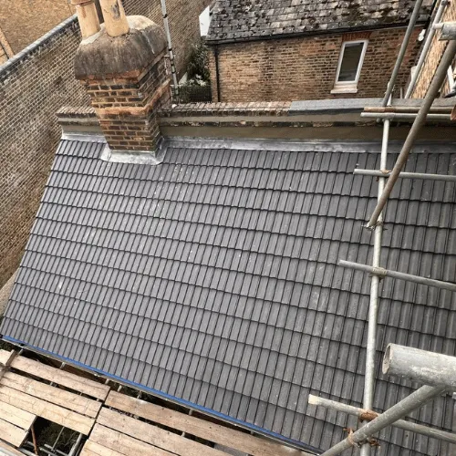 Recent roof project